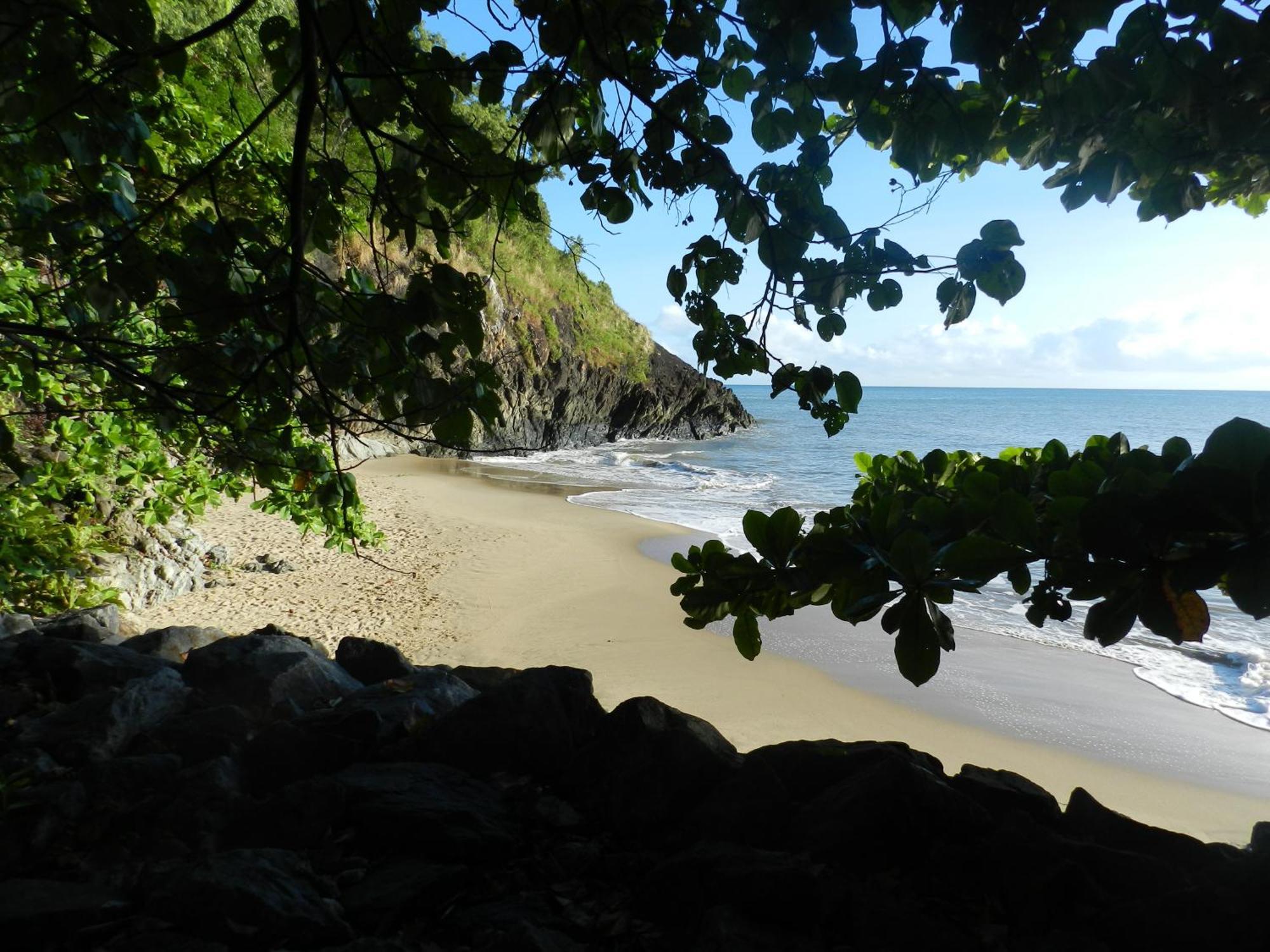 The York Beachfront Holiday Apartments Yorkeys Knob Eksteriør bilde