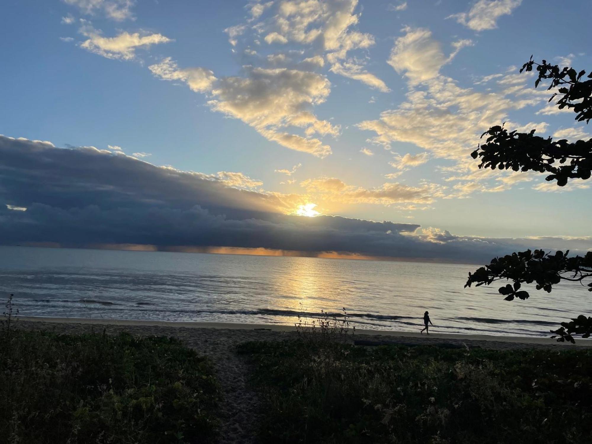 The York Beachfront Holiday Apartments Yorkeys Knob Eksteriør bilde